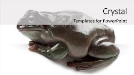  Presentation with australia - Cool new slide deck with australian green tree frog simply green tree frog in australia white's tree frog or dumpy tree frog litoria caerulea against white background backdrop and a light gray colored foreground