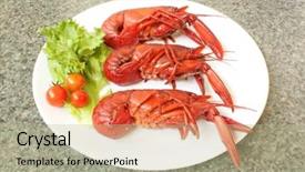  Presentation with australian - Amazing presentation design having australian marron crayfish same backdrop and a mint green colored foreground