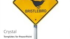  Presentation with australian - Slide set enhanced with australian-sign-of-endangered-bristlebird background and a white colored foreground