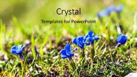  Presentation with anatomy upper limb - Colorful slide set enhanced with austrian alps near postalm upper backdrop and a yellow colored foreground