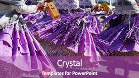  Presentation with folk dance - Colorful slide deck enhanced with authentic peruvian dance backdrop and a purple colored foreground