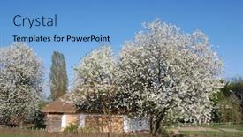  Presentation with air - Audience pleasing presentation theme consisting of authentic-ukrainian-house-in-pirogovo backdrop and a teal colored foreground