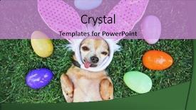  Presentation with cute japan cartoon - PPT theme featuring authentication - authentic photo of a cute background and a lavender colored foreground