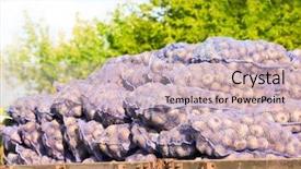  Presentation with net - Colorful PPT theme enhanced with auto industry fait - many net sacks with potatoes backdrop and a soft green colored foreground