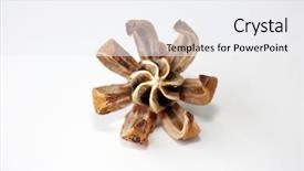  Presentation with five star hotel in sri lanka - Cool new presentation theme with autograph tree aka clusia major backdrop and a white colored foreground