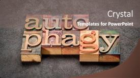  Presentation with parts - Slide deck having autophagy-word-in-letterpress-wood background and a  colored foreground