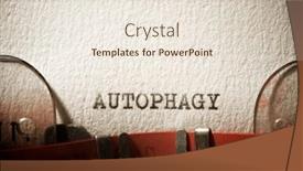  Presentation with cyber sex word written - Slide deck with autophagy-word-written background and a lemonade colored foreground