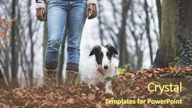  Presentation with guide dog helping blind woman - Amazing slide deck having autum - young woman posing outdoor backdrop and a tawny brown colored foreground