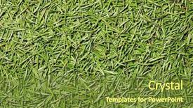  Presentation with needle - Cool new slide set with autum leaves - fir-needle texture backdrop and a  colored foreground