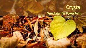  Presentation with chemistry leaves green leaf - Cool new presentation with autum leaves backdrop and a  colored foreground