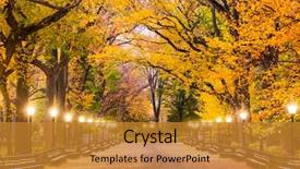  Presentation with new york - Amazing presentation having autumn - central park at the mall backdrop and a gold colored foreground