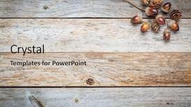  Presentation with autumn wood - Colorful PPT theme enhanced with autumn - weathered barn wood background backdrop and a soft green colored foreground