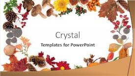  Presentation with flora fauna - Amazing slide deck having autumn-abstract-background-border-composition backdrop and a white colored foreground