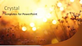  Presentation with fall abstract - Cool new PPT theme with autumn-abstract-nature-background-fall backdrop and a blonde colored foreground