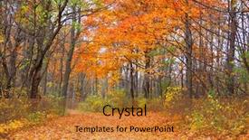  Presentation with mongolian state - PPT layouts consisting of autumn alley in mayberry state background and a gold colored foreground