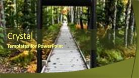  Presentation with autumn - Cool new PPT theme with autumn-andscape-inside-and-outside backdrop and a tawny brown colored foreground