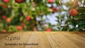  Presentation with autumn wood - Presentation with autumn-apple-orchard-background-wood background and a  colored foreground
