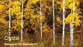  Presentation with fall colors - PPT layouts enhanced with autumn aspen trees fall colors background and a tawny brown colored foreground