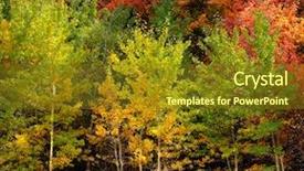  Presentation with fall colors - Colorful slides enhanced with autumn aspen trees fall colors backdrop and a tawny brown colored foreground