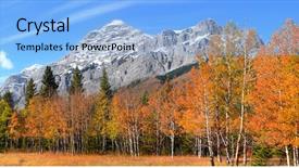 Presentation with canadian culture canada china national - Cool new PPT theme with autumn aspen trees in canadian backdrop and a light blue colored foreground