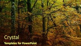  Presentation with national - Slide deck featuring autumn-at-the-forest-portuguese background and a wine colored foreground