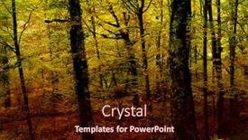  Presentation with national - Presentation consisting of autumn-at-the-forest-portuguese background and a wine colored foreground