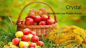  Presentation with rural - PPT layouts consisting of carobs gluten free cereal background and a sky blue colored foreground