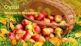  Presentation with yellow - Amazing theme having autumn at the rural garden backdrop and a tawny brown colored foreground