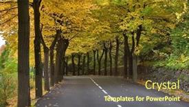  Presentation with avenue - Presentation theme enhanced with autumn avenue highway passing between autumn trees with yellow leaves background and a tawny brown colored foreground