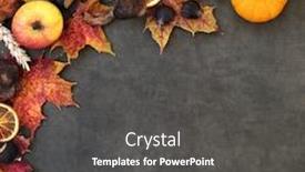  Presentation with flora fauna - Slides enhanced with autumn-background-border-with-food background and a dark gray colored foreground