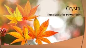  Presentation with leave - Amazing presentation design having autumn background red leave backdrop and a yellow colored foreground