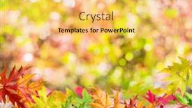  Presentation with autumn leaves - Slides enhanced with autumn-background-with-a-whis background and a yellow colored foreground