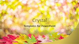  Presentation with autumn leaves - Presentation with autumn-background-with-a-whis background and a yellow colored foreground