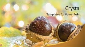  Presentation with autumn - Colorful slide set enhanced with autumn background with chestnuts shallow backdrop and a blonde colored foreground