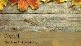  Presentation with leaves - Audience pleasing slide deck consisting of germa - vintage tea in a mug backdrop and a light gray colored foreground