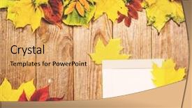  Presentation with halloween frame - Audience pleasing presentation design consisting of autumn background with colorful leaves on rustic wooden board thanksgiving and halloween holidays concept a white paper frame on an old wooden background space for your text backdrop and a coral colored foreground