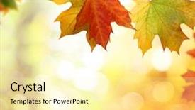  Presentation with autumn leaves falling - Beautiful slide set featuring autumn background with falling leaves backdrop and a  colored foreground