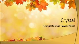  Presentation with maple - Slides having autumn background with maple leaves background and a blonde colored foreground