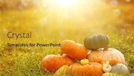  Presentation with thanksgiving - Presentation theme consisting of autumn-background-with-pumpkins background and a yellow colored foreground