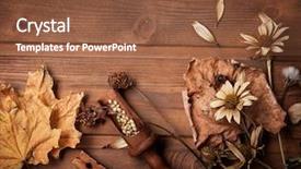  Presentation with spices - Amazing slide set having close up sunflower frame - autumn background with spices backdrop and a tawny brown colored foreground