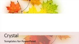  Presentation with autumn - Presentation enhanced with autumn background background and a coral colored foreground