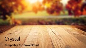  Presentation with autumn - Presentation design with autumn background background and a coral colored foreground