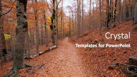  Presentation with fall - Colorful slide deck enhanced with autumn beech fall forest in pyrenees valle de ordesa huesca spain backdrop and a tawny brown colored foreground