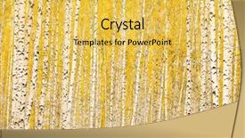  Presentation with october - Beautiful slide deck featuring autumn birch forest october backdrop and a yellow colored foreground