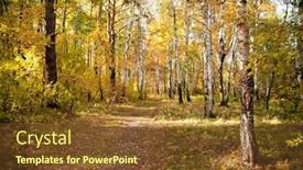  Presentation with autumn wood - Slides having autumn-birch-wood-with-yellowed background and a tawny brown colored foreground