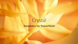  Presentation with blurred plants - PPT theme enhanced with autumn-blurred-nature-background-silhouettes background and a yellow colored foreground