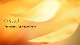  Presentation with blurred plants - Slides having autumn-blurred-nature-background-silhouettes background and a yellow colored foreground