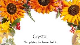  Presentation with sunflowers - Audience pleasing PPT theme consisting of autumn-border-of-sunflowers backdrop and a white colored foreground