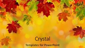  Presentation with border - Cool new PPT layouts with autumn card of colored leafs backdrop and a gold colored foreground
