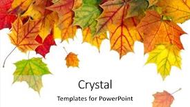  Presentation with fall color - Presentation theme with autumn card of colored leafs background and a white colored foreground